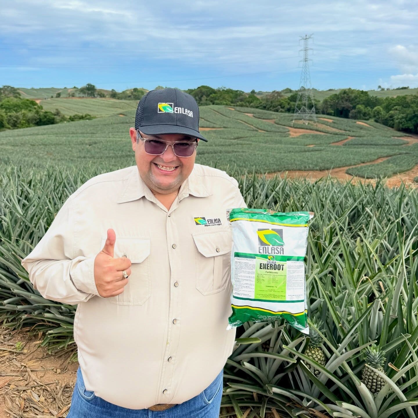 Aplicación de Enerfol en piña