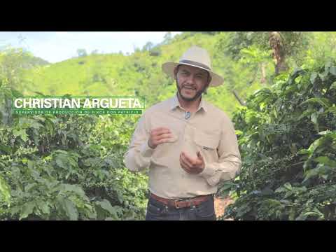 Historias que transforman el agro - Finca Don Patricio